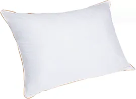 Подушка Arya Home Ecosoft Comfort 50*70см