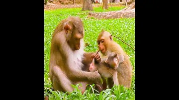 Very cheerful hug Jenifer, mama tell Rainbow gently, comfort baby lol, share feeds to all