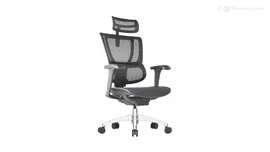 Кресло компьютерное ортопедическое Ioo Project 2 Comfort Workspace Сетка черная (W09-01)